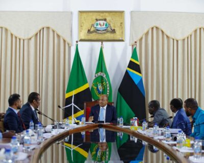 Advancing Renewable Energy in Zanzibar